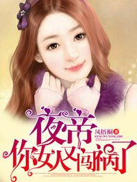 夜帝你女人又闯祸了封面