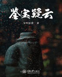 鉴宝疑云封面