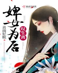 婢女为后,叹生离封面
