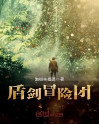 盾剑冒险团封面