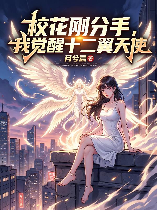 校花刚分手,我觉醒十二翼天使封面