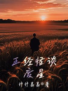 正经怪谈：废星封面