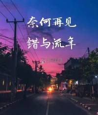 奈何再见,错与流年封面