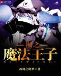 枫之魔法王子封面