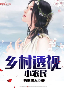乡村透视小农民封面
