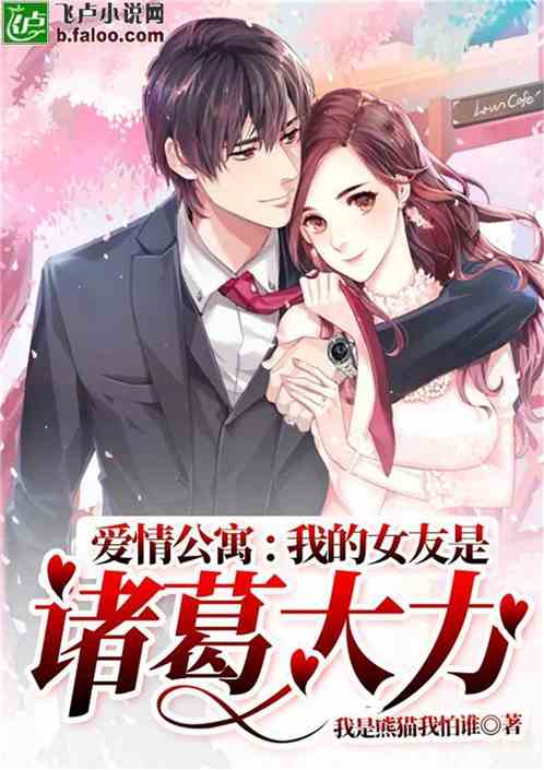 爱情公寓:我的女友是诸葛大力封面