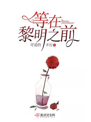 等在黎明之前封面