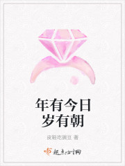 年有今日岁有朝封面