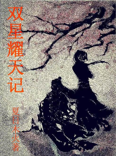 双星耀天记封面