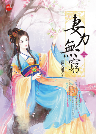 妻力无穷 二封面