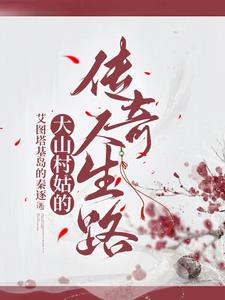 大山村姑传奇封面