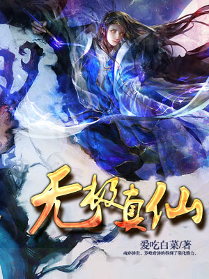 无极真仙封面