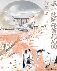 丢一枚铜币等月儿圆封面