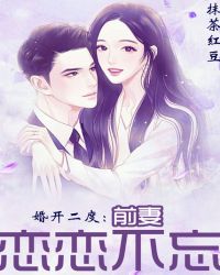 婚开二度：前妻恋恋不忘封面