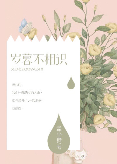 岁暮不相识封面