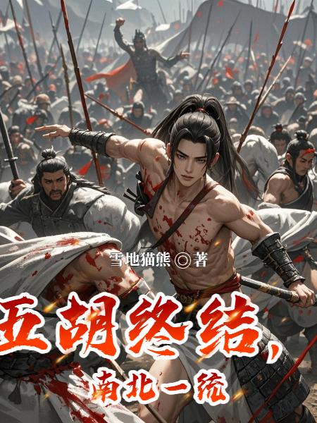 五胡终结，南北一统封面