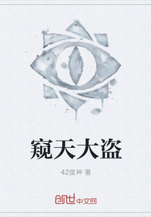 窥天大盗封面