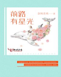 前路有星光封面