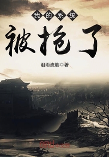 我的系统被抢了封面