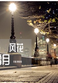 愿赴风花雪月封面