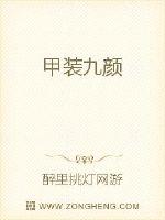 甲装九颜封面