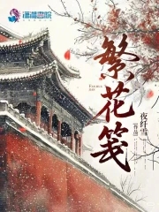 繁花笺封面