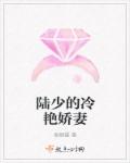 陆少的冷艳娇妻封面