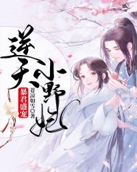 暴君盛宠：逆天小野妃封面