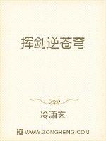 挥剑逆苍穹封面