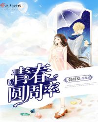 青春圆周率封面