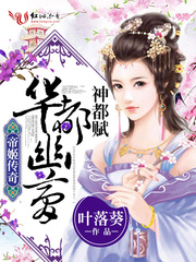 帝姬传奇之华都幽梦封面