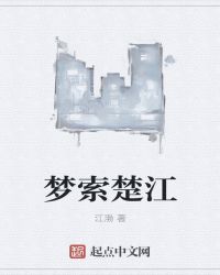 梦索楚江封面