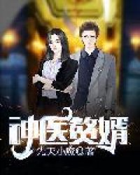 神医赘婿封面