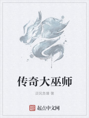 传奇大巫师封面