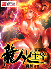 龙火主宰封面