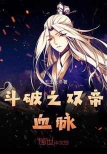 斗破之双帝血脉封面