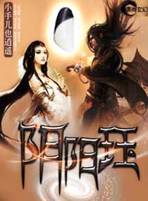 阴阳珏封面