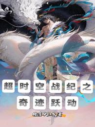 超时空战纪之奇迹跃动封面
