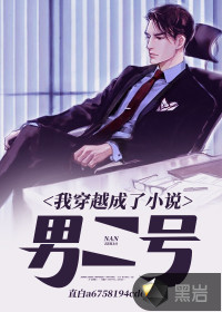 我穿越成了小说男二号封面