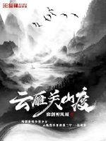 云雁关山度封面