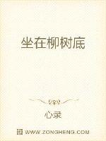 坐在柳树底封面