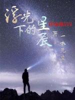 浮光下的星辰封面