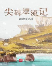 尖碑漂流记封面