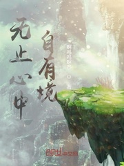 无止心中自有境封面