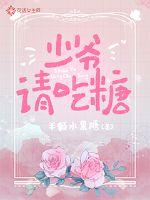 少爷,请吃糖封面