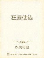 狂暴使徒封面