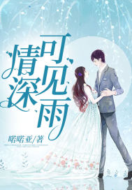 情深可见雨封面