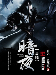 暗夜晨曦封面