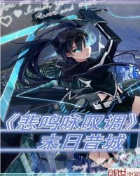 悲鸣咏叹调封面