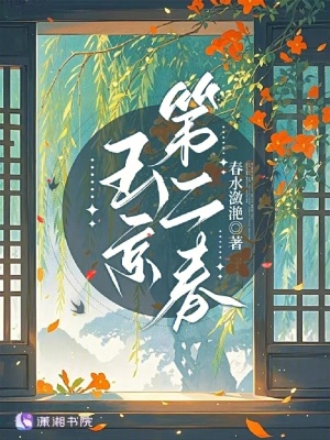 玉京第二春封面